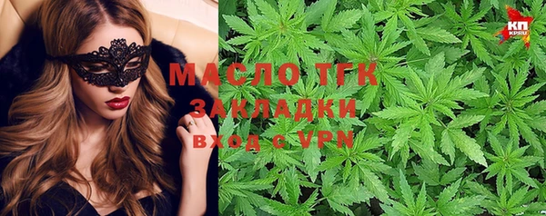 прущие грибы Гусь-Хрустальный