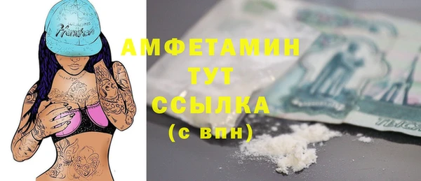 прущие грибы Гусь-Хрустальный