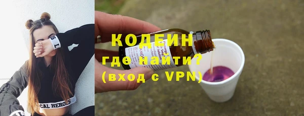 первитин Гусев
