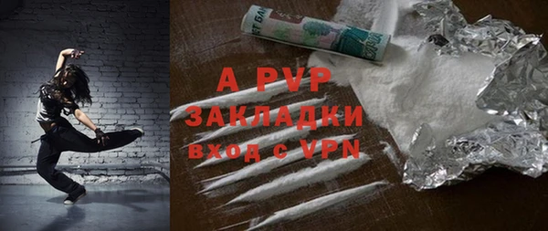 прущие грибы Гусь-Хрустальный